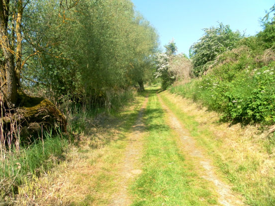 Wege in Grenz (Uckermark)