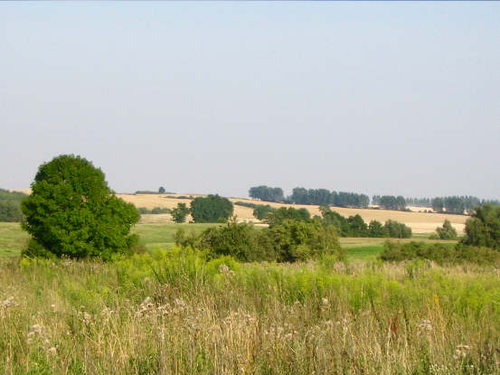 Landschaft in Grenz (Uckermark)