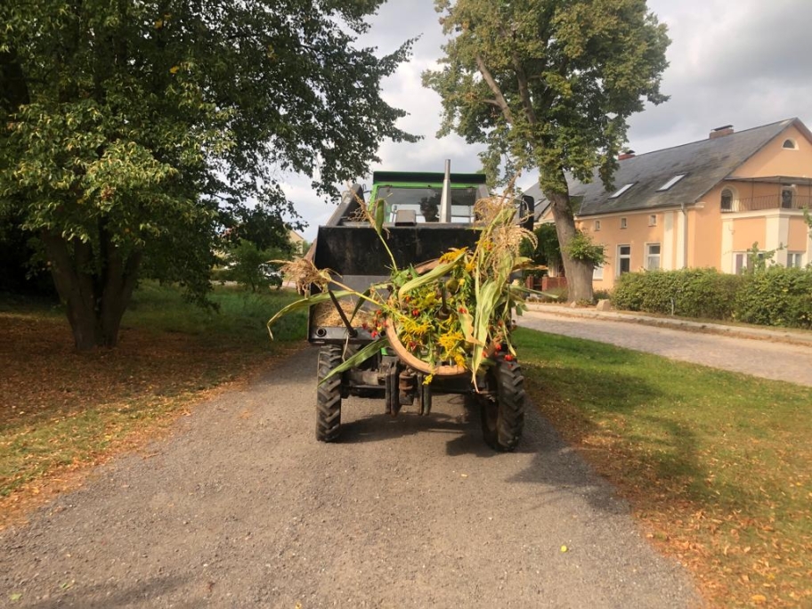 Erntedankgottesdienst 2023