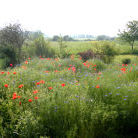 Grenz bei Prenzlau in der Uckermark