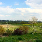 Grenz bei Prenzlau in der Uckermark