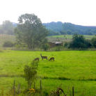 Grenz bei Prenzlau in der Uckermark