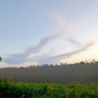 Grenz bei Prenzlau in der Uckermark