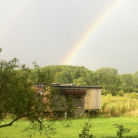 Bienenwagen mit Regenbogen