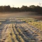 Landschaft in Grenz